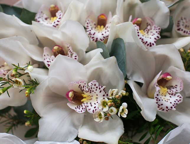Букет из белых орхидей Фото